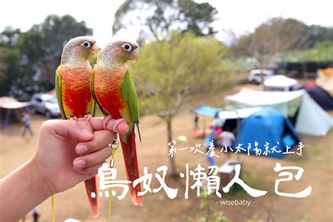 家裡養鳥好嗎|第一次養鳥就上手 基本常識須知（上）